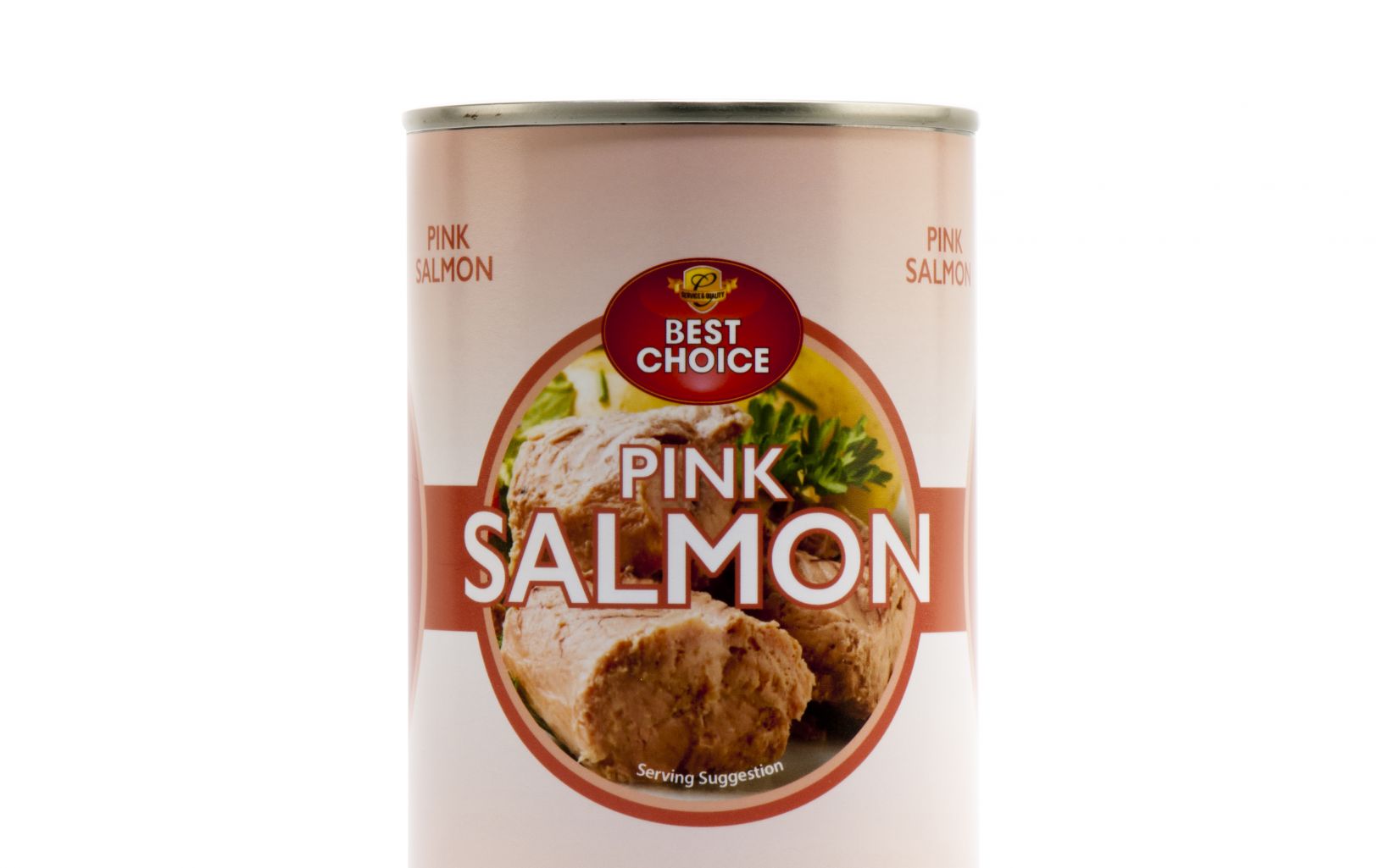 51304 Pink Salmon Oct23