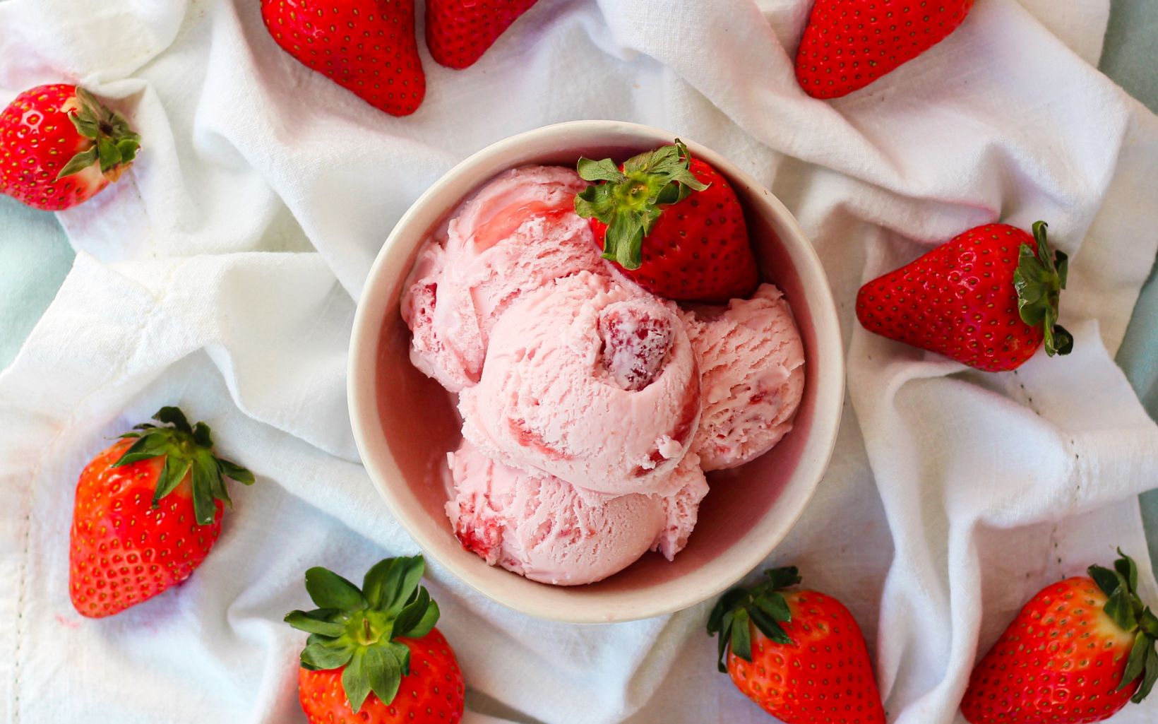 73772 Succulent Strawberry