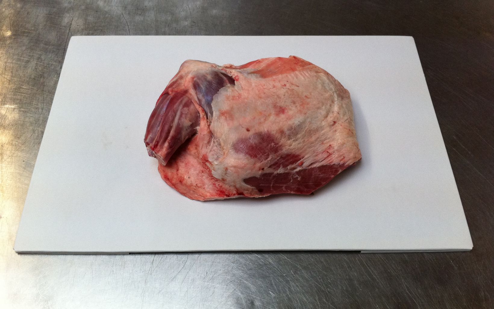 13908 Shoulder Of Lamb Bone In