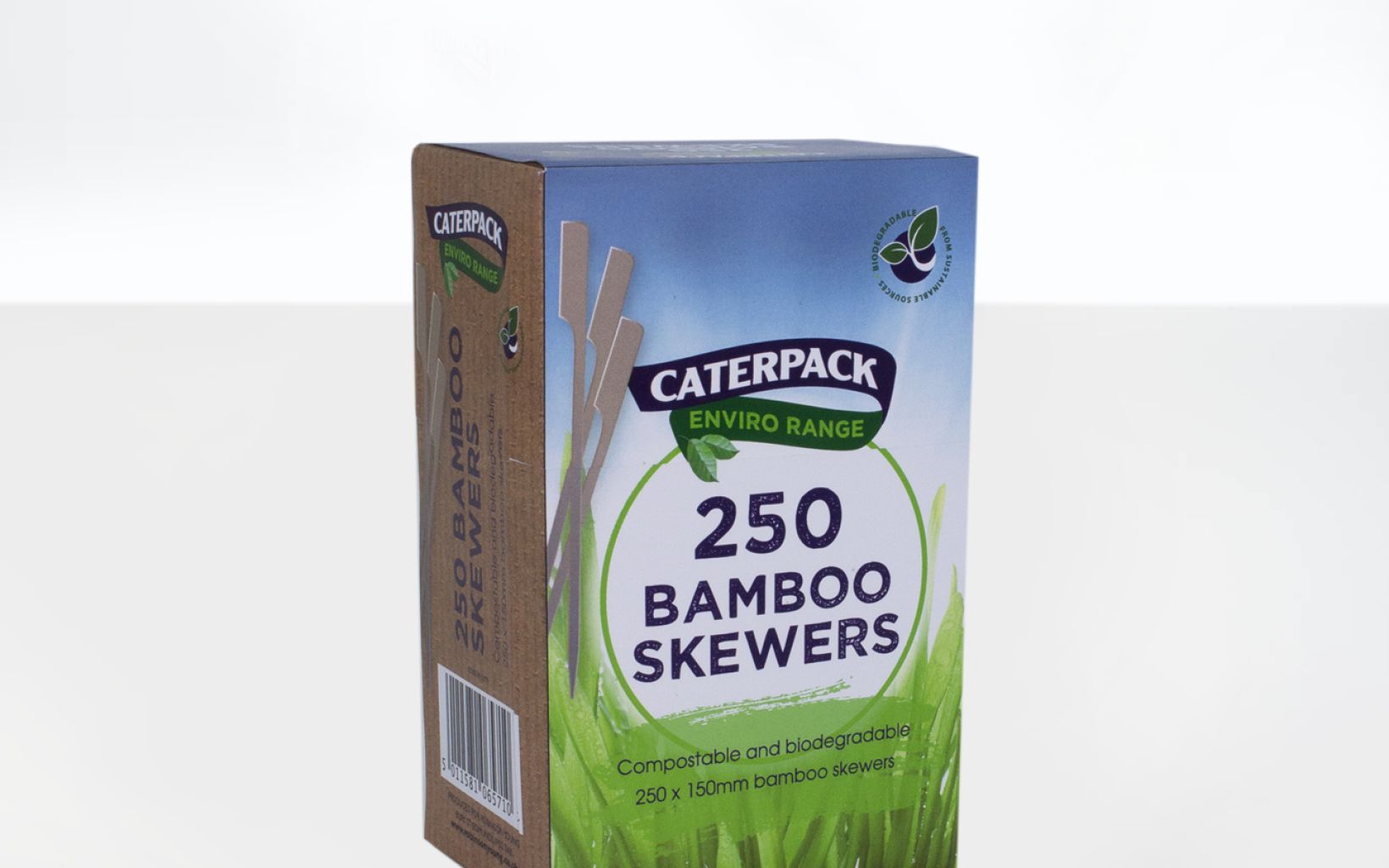 25860 Ry10773 Caterpack Enviro Bamboo Skewers 250 Pack
